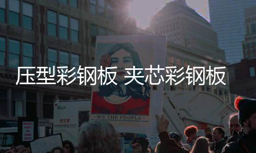 造纸厂料仓耐磨衬板多少钱