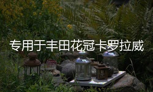 专用于丰田花冠卡罗拉威驰雷凌汽车音响喇叭中重低音后门后排改装