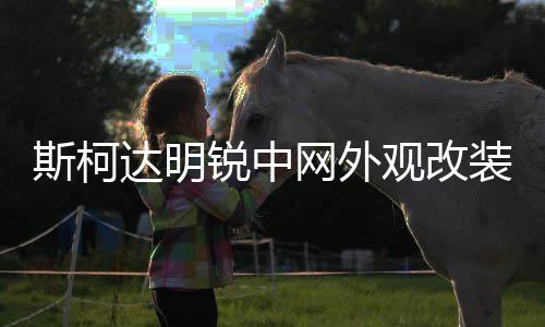 斯柯达明锐中网外观改装配件昊锐汽车前脸保险杠专用装饰条晶锐