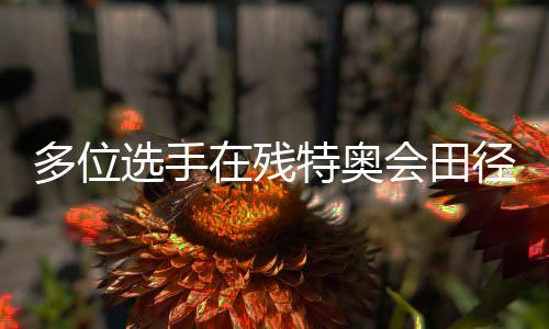 多位选手在残特奥会田径(马拉松)项目刷新全国纪录