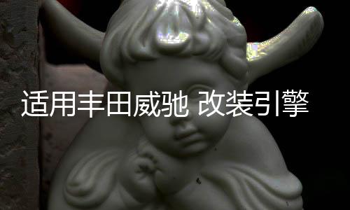 适用丰田威驰 改装引擎盖后备箱液压杆花冠 致炫 致享Corolla撑杆