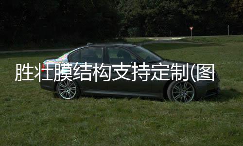 PARA103260GF玻纤增强高刚性抗蠕变汽车行业