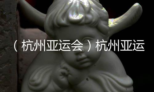 (杭州亚运会)杭州亚运会迎来代表团单日入境最高峰