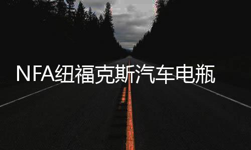 NFA纽福克斯汽车电瓶充电器12V大功率agm蓄电池全自动智能充电机