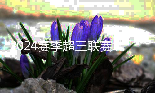 2024赛季超三联赛北京争霸赛落幕，无锡队夺冠